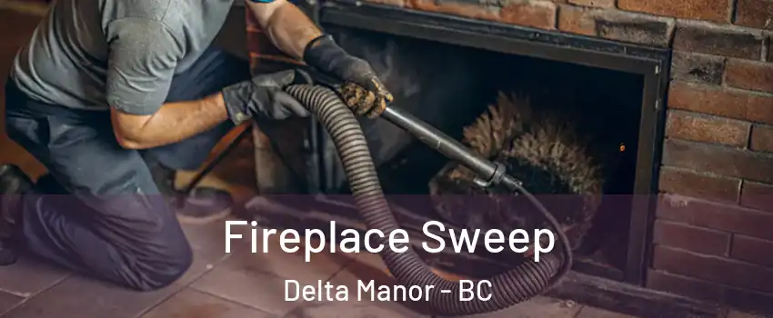  Fireplace Sweep Delta Manor - BC