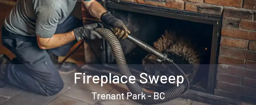  Fireplace Sweep Trenant Park - BC