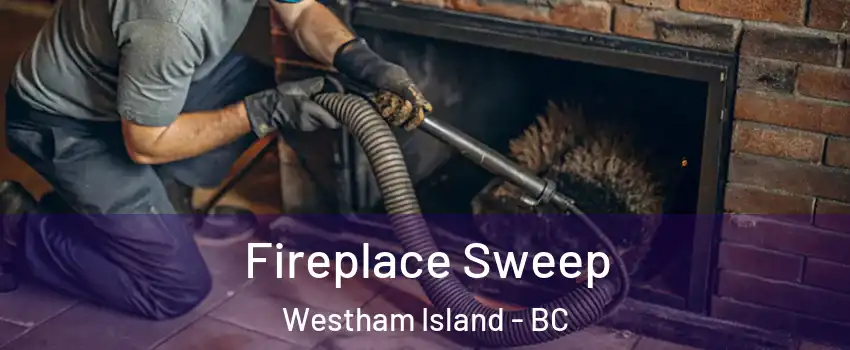  Fireplace Sweep Westham Island - BC