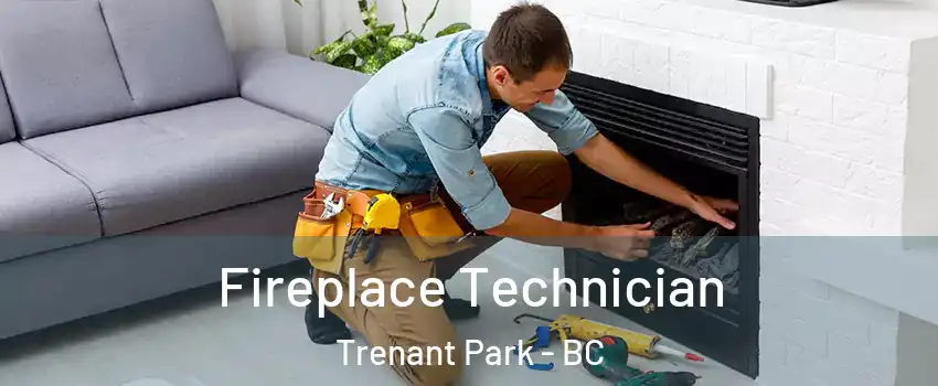  Fireplace Technician Trenant Park - BC