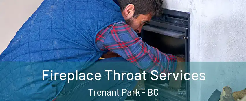  Fireplace Throat Services Trenant Park - BC