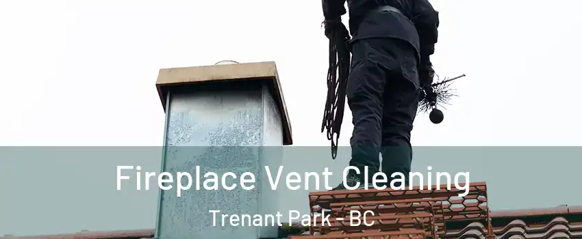  Fireplace Vent Cleaning Trenant Park - BC