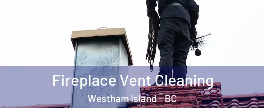  Fireplace Vent Cleaning Westham Island - BC