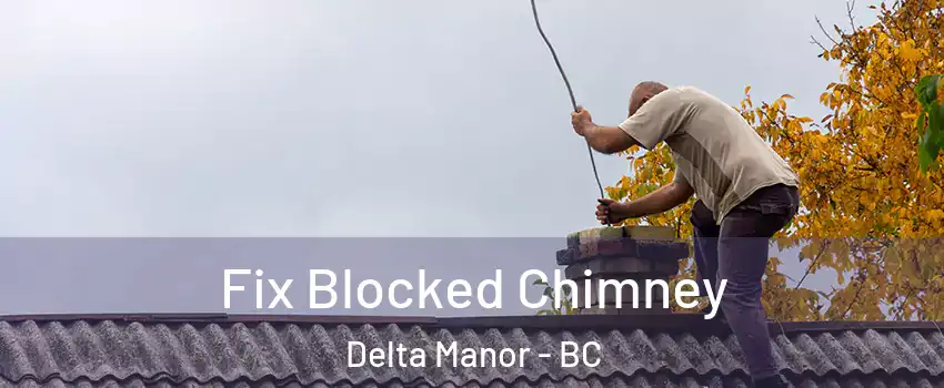  Fix Blocked Chimney Delta Manor - BC