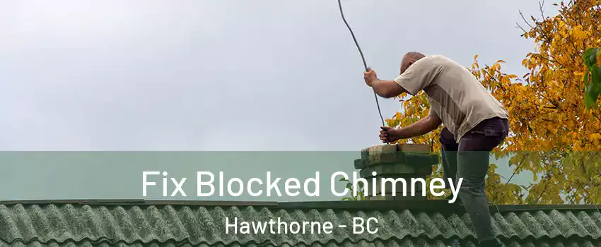  Fix Blocked Chimney Hawthorne - BC