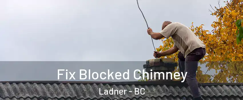  Fix Blocked Chimney Ladner - BC