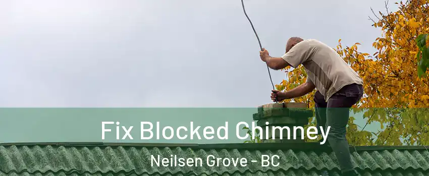  Fix Blocked Chimney Neilsen Grove - BC