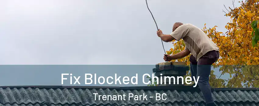  Fix Blocked Chimney Trenant Park - BC