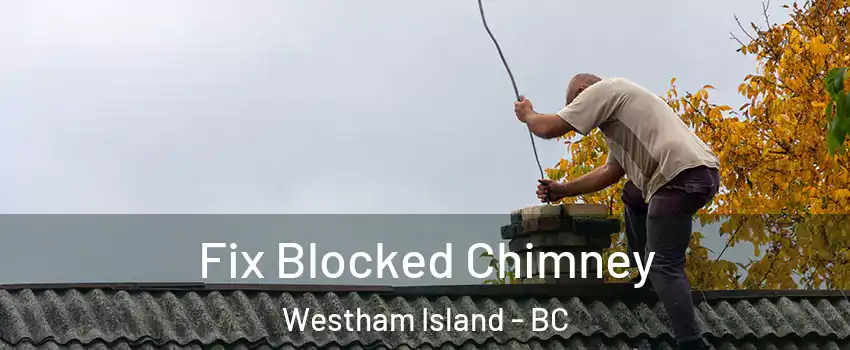  Fix Blocked Chimney Westham Island - BC