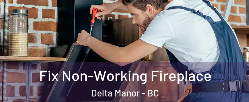  Fix Non-Working Fireplace Delta Manor - BC