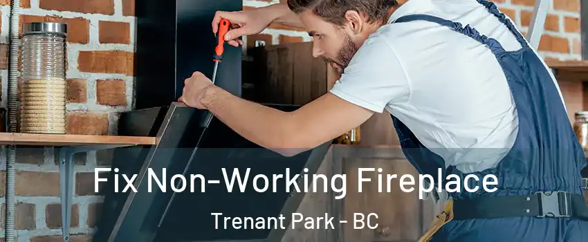  Fix Non-Working Fireplace Trenant Park - BC