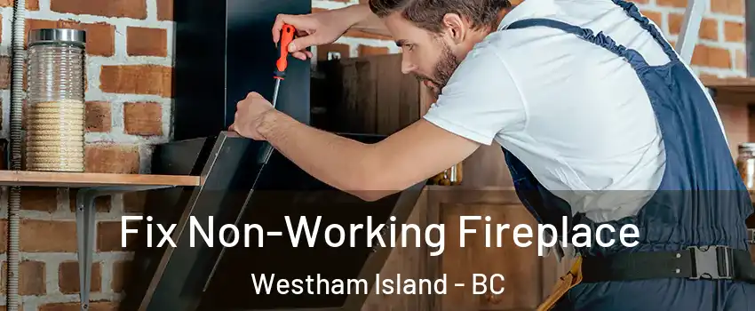  Fix Non-Working Fireplace Westham Island - BC