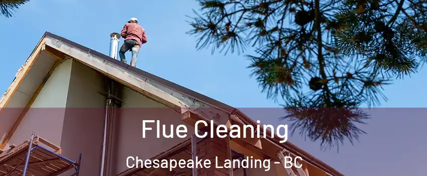  Flue Cleaning Chesapeake Landing - BC