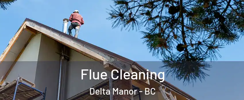  Flue Cleaning Delta Manor - BC