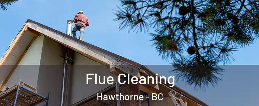  Flue Cleaning Hawthorne - BC