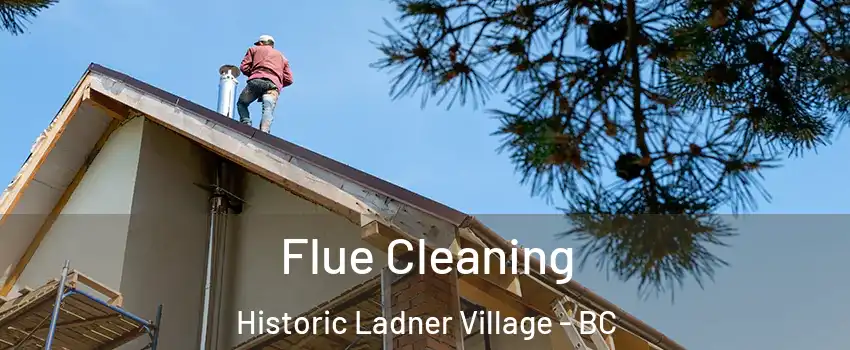  Flue Cleaning Historic Ladner Village - BC