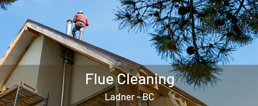  Flue Cleaning Ladner - BC