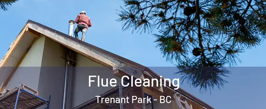  Flue Cleaning Trenant Park - BC