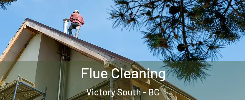  Flue Cleaning Victory South - BC