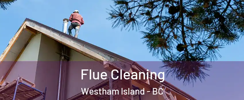  Flue Cleaning Westham Island - BC