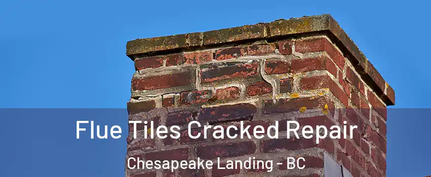  Flue Tiles Cracked Repair Chesapeake Landing - BC