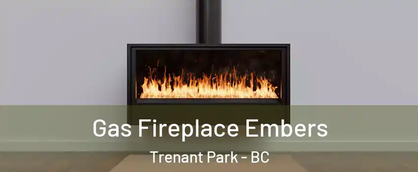  Gas Fireplace Embers Trenant Park - BC