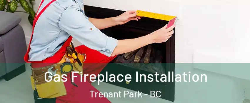  Gas Fireplace Installation Trenant Park - BC