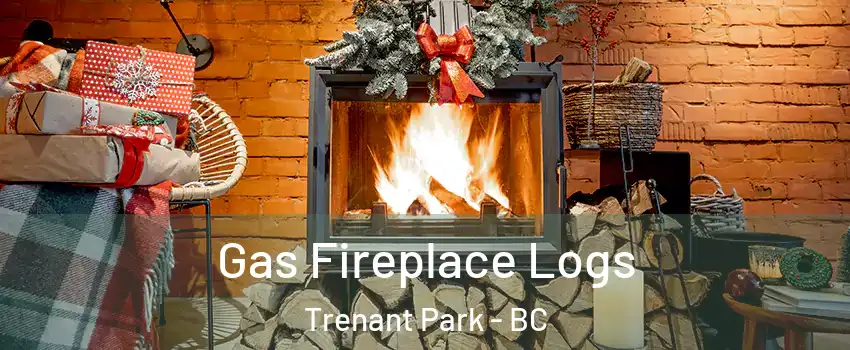  Gas Fireplace Logs Trenant Park - BC