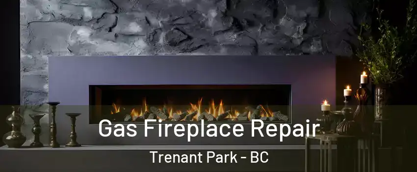  Gas Fireplace Repair Trenant Park - BC