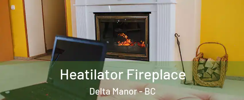  Heatilator Fireplace Delta Manor - BC