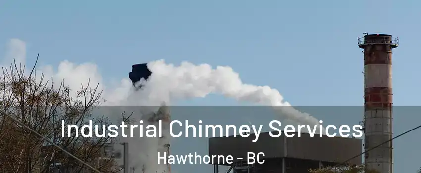  Industrial Chimney Services Hawthorne - BC