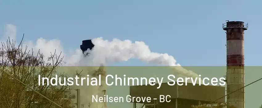  Industrial Chimney Services Neilsen Grove - BC