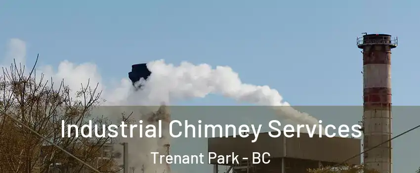  Industrial Chimney Services Trenant Park - BC