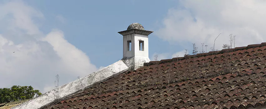 Wind-Resistant Chimney Caps Installation and Repair Services in Ladner, British Columbia