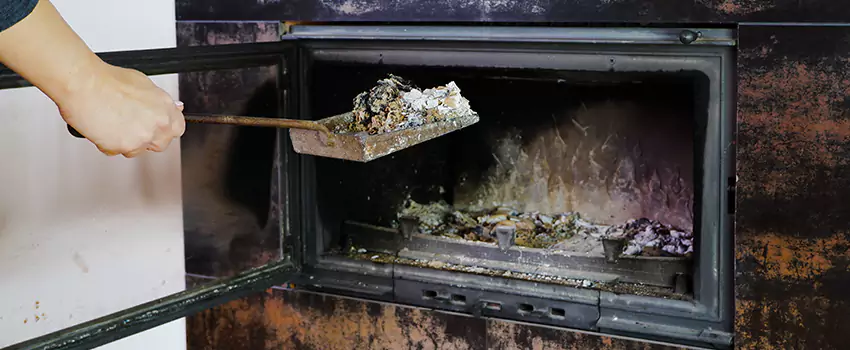 Wood Burning Chimney Odor Removal in Ladner, British Columbia