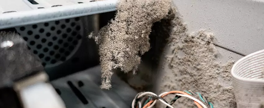 Clogged Dryer Vent Lint Cleaning in Ladner, British Columbia
