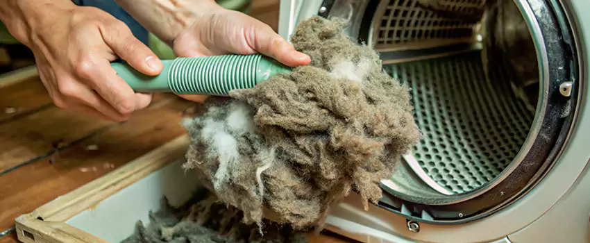 Best Dryer Lint Removal Company in Ladner, British Columbia