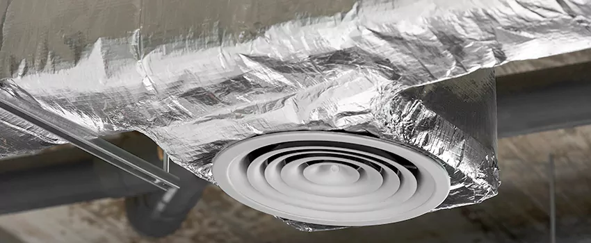 Duct Cleaning Specialists Near Me in Ladner 