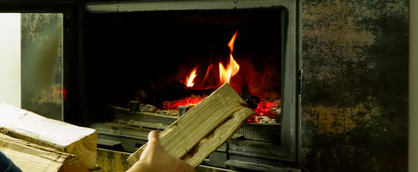 Wood-Burning Fireplace Smell Removal Services in Ladner, British Columbia