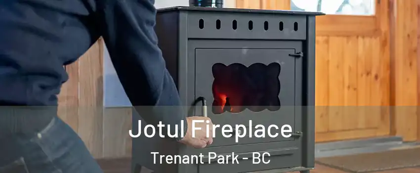  Jotul Fireplace Trenant Park - BC