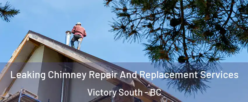  Leaking Chimney Repair And Replacement Services Victory South - BC