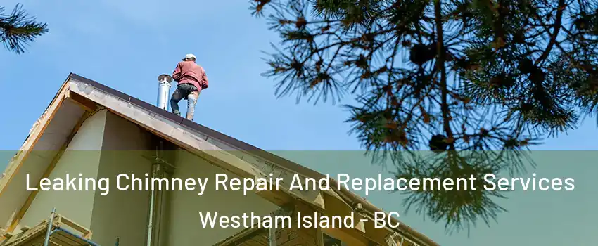  Leaking Chimney Repair And Replacement Services Westham Island - BC