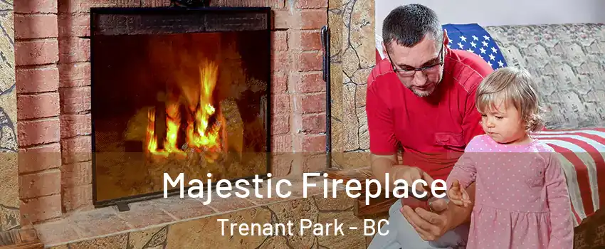  Majestic Fireplace Trenant Park - BC