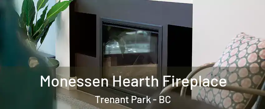  Monessen Hearth Fireplace Trenant Park - BC