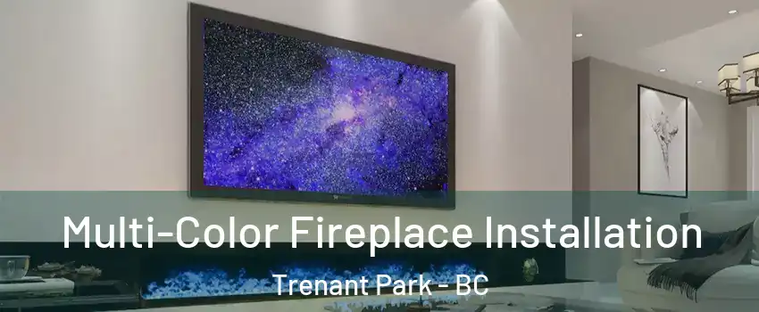 Multi-Color Fireplace Installation Trenant Park - BC
