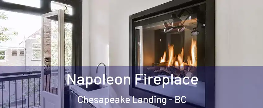  Napoleon Fireplace Chesapeake Landing - BC