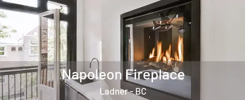  Napoleon Fireplace Ladner - BC