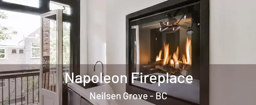  Napoleon Fireplace Neilsen Grove - BC