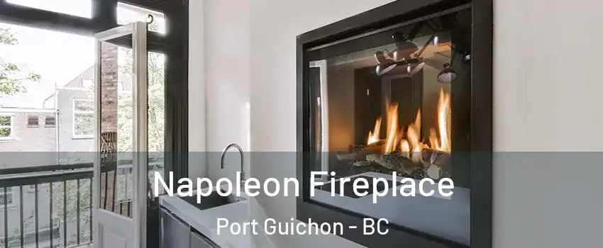  Napoleon Fireplace Port Guichon - BC
