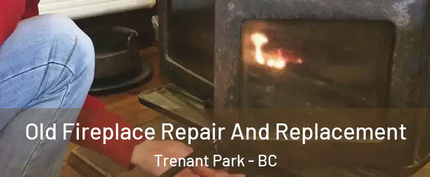  Old Fireplace Repair And Replacement Trenant Park - BC